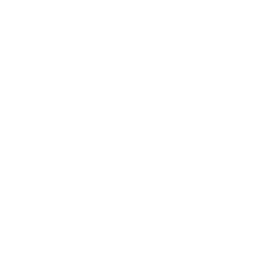 ZheynLab white logo